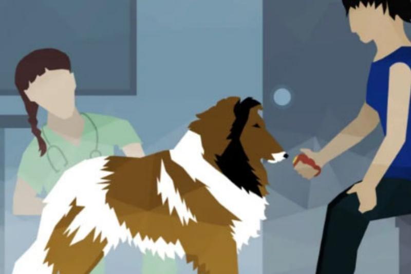 Fear free vet near me